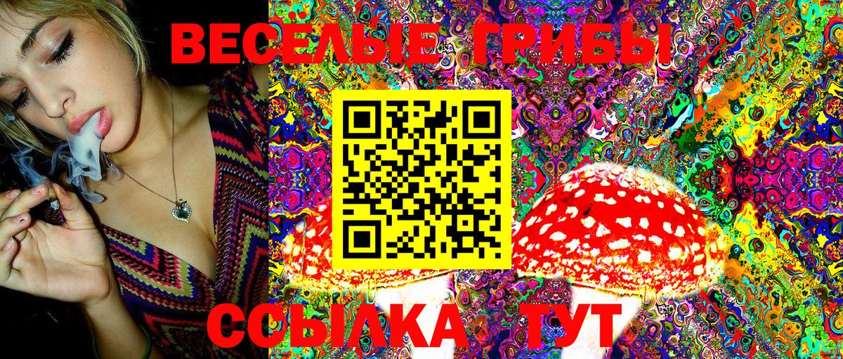 Родники  Галлюциногенные грибы Cubensis  Вход с VPN 